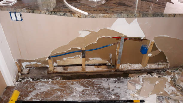Best Water damage restoration near me  in Butler Beach, FL