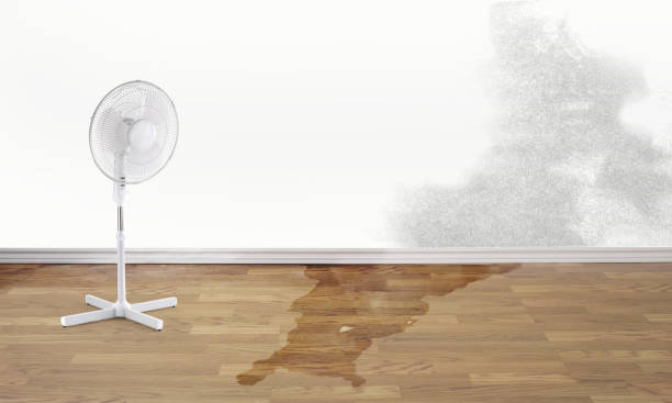 Best Emergency water damage restoration  in Butler Beach, FL