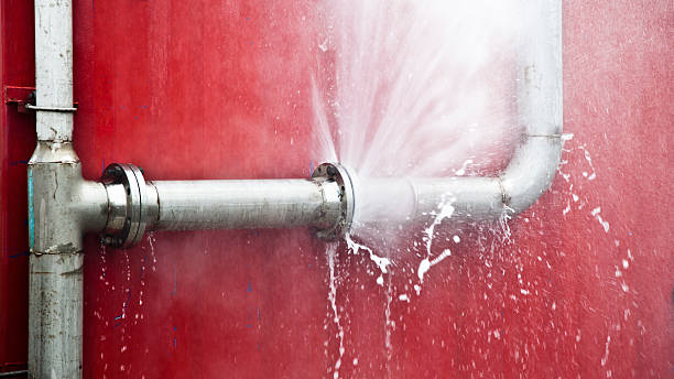 Best Basement water damage restoration  in Butler Beach, FL